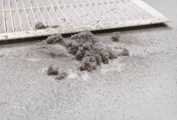 Best Affordable Air Duct Cleaning  in Sausalito, CA