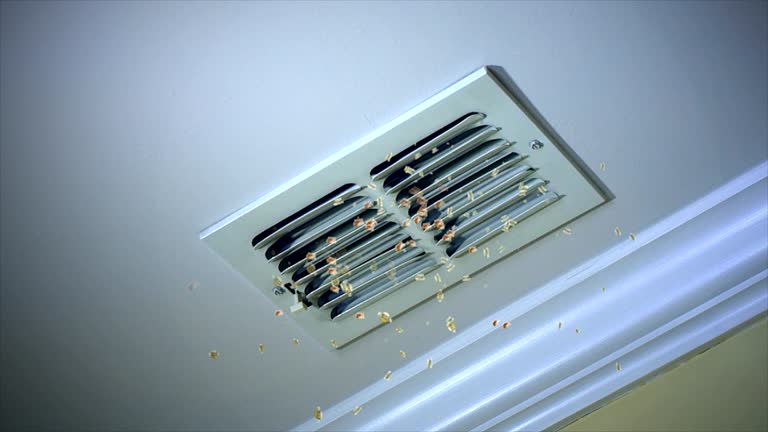Best Ductwork Cleaning Services  in Sausalito, CA